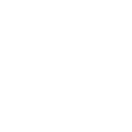 Search Icon